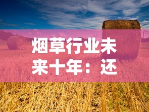 长沙烟酒连锁店品牌盘点：本地香烟特色与选购指南