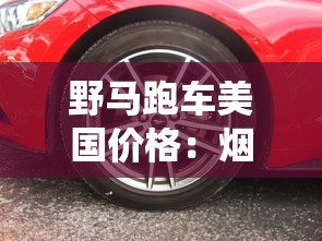 野马跑车美国价格：烟圈般缭绕的肌肉车市场解析