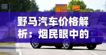 野马汽车价格解析：烟民眼中的理性消费选择