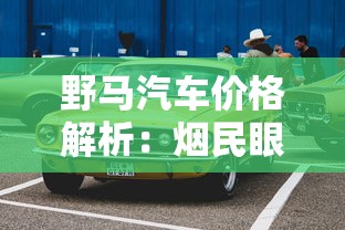 野马汽车价格解析：烟民眼中的理性消费选择