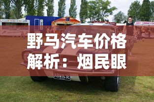野马汽车价格解析：烟民眼中的理性消费选择