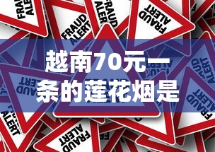 越南70元一条的莲花烟是否值得购买？揭秘低价背后的风险与真相
