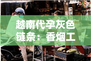 越南代孕灰色链条：香烟工厂背后的孕妈困境