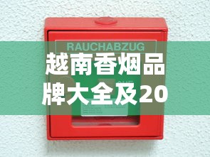 越南香烟品牌大全及2025最新价格解析