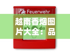 越南香烟图片大全：品牌、价格与特色全解析