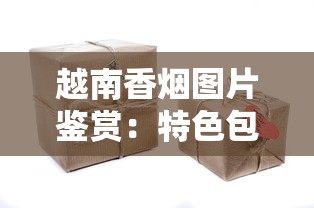 越南香烟图片鉴赏：特色包装与品牌文化解析