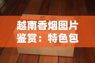 越南香烟图片鉴赏：特色包装与品牌文化解析