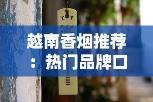 越南香烟推荐：热门品牌口感评测与购买指南