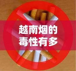 越南烟的毒性有多强？尼古丁含量、致癌物与健康风险全解析