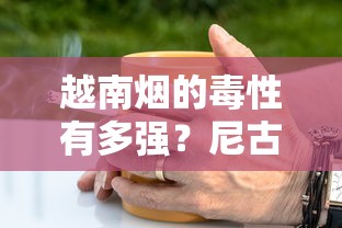 越南烟的毒性有多强？尼古丁含量、致癌物与健康风险全解析