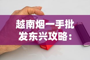 越南烟一手批发东兴攻略：货源渠道与市场解析