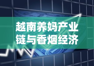越南养妈产业链与香烟经济背后的隐秘联系