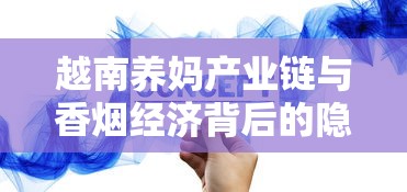 越南养妈产业链与香烟经济背后的隐秘联系