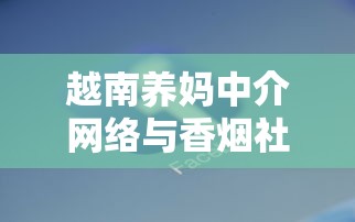 越南养妈中介网络与香烟社交的隐秘联系