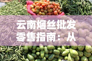 云南烟丝批发零售指南：从选品到渠道全解析