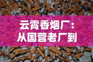 云霄香烟厂：从国营老厂到民间制烟工艺的百年浮沉