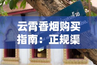 云霄香烟购买指南：正规渠道与选购技巧全解析