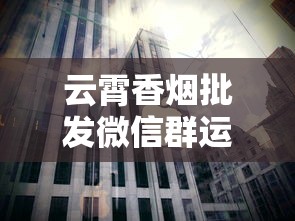 云霄香烟批发微信群运营模式与市场现状深度解析