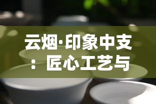 云烟·印象中支：匠心工艺与醇香体验的完美融合