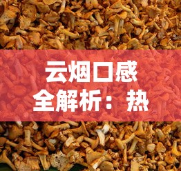 云烟口感全解析：热门系列真实品吸体验与排名