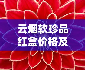 云烟软珍品红盒价格及口感全面解析