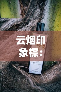 云烟印象棕：经典传奇背后的品鉴指南