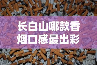 长白山哪款香烟口感最出彩？这6款老烟枪都说好抽