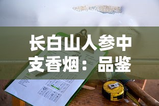 长白山人参中支香烟：品鉴与文化碰撞的新选择