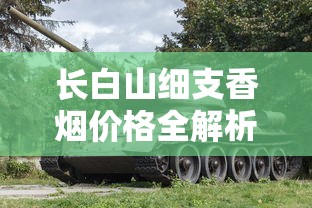 长白山细支香烟价格全解析：2024-2025年最新市场动态