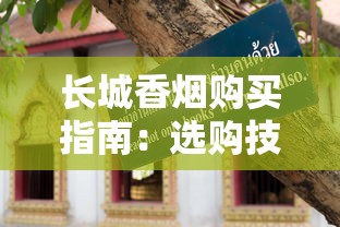 长城香烟购买指南：选购技巧与渠道解析