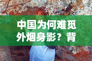 中国为何难觅外烟身影？背后藏着这些“不能说的秘密”