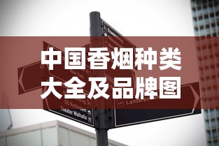 中国香烟种类大全及品牌图鉴解析