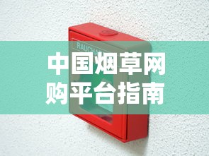 中国烟草网购平台指南：如何安全选购正品香烟