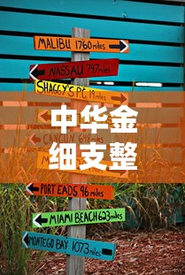 中华金细支整条价格解析及市场趋势指南